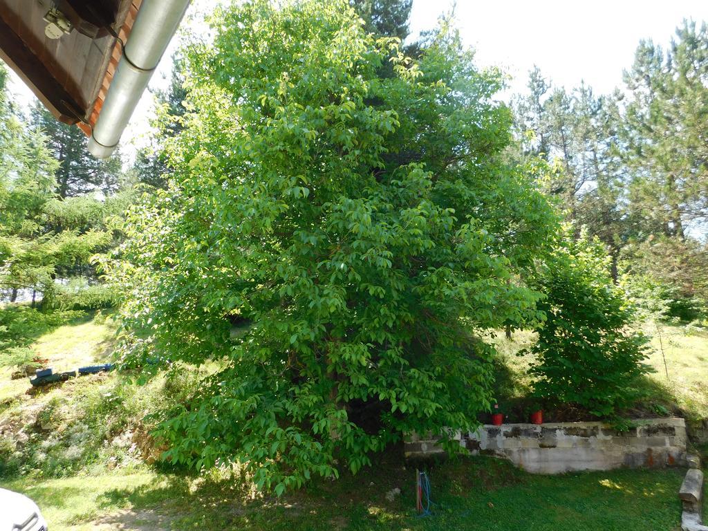 Holiday Home Lana Saborsko Экстерьер фото